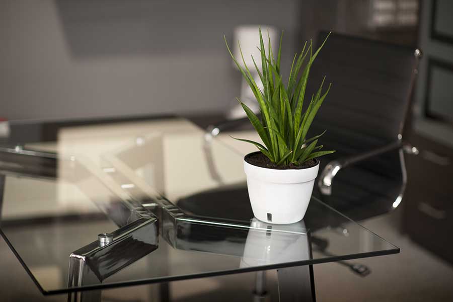 A Guide To Glass Table Tops & Surface Protectors